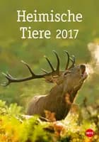 Heimische Tiere 2017
