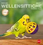 Wellensittiche Postkortkalender 2017