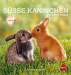 Kaninchen Postkortkalender 2017