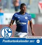 Schalke 04 Postkortkalender 2017