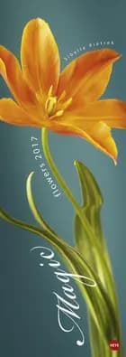 Magic Flowers Vertical 2017