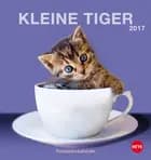 Katzen Postkortkalender 2017