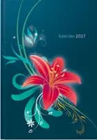 Ranke 17 Monatskalenderbuch A6 2017