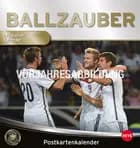 DFB samlekortkalender 2017