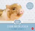 Kleiner Schatz Maxi Postkortkalender 2017