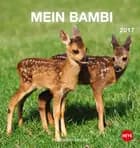 Mein Bambi Postkortkalender 2017