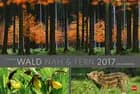 Wald nah und fern Edition 2017