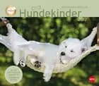 Hundekinder Maxi Postkortkalender 2017
