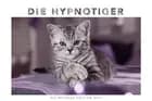 Whiskas Katzenkalender 2017