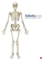 Sobotta Edition Kalender 2018