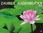 Zauber des Augenblicks Kalender 2018