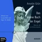 Das kleine Buch der Engel - Wünsche, die von Herzen kommen af Anselm Grün