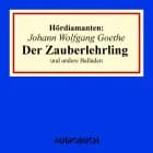 Der Zauberlehrling