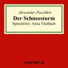 Der Schneesturm