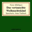 Das vertauschte Weihnachtskind