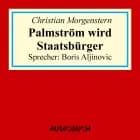 Palmström wird Staatsbürger