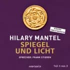 Spiegel und Licht (Teil 3 von 3)