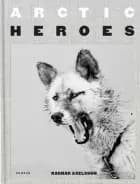 Arctic Heroes: A Tribute to the Sled Dogs of Greenland
