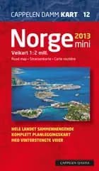 Norge mini 2013 : veikart