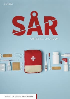 Sår af Christina Lindholm