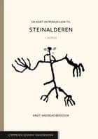 En kort introduksjon til steinalderen : i Norge