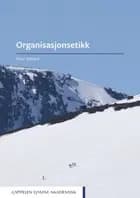Organisasjonsetikk