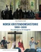 Norsk kristendomshistorie 1800-2020 : fra selvsagt tro til mangfold af Helje Kringlebotn Sødal
