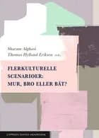 Flerkulturelle scenarioer: mur, bro eller båt?