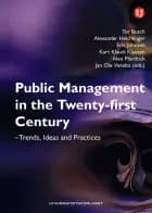 Public management in the twenty-first century : trends, ideas and practices af Tor Busch, Alexander Heichlinger og Kurt Klaudi Klausen et al
