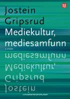 Mediekultur, mediesamfunn
