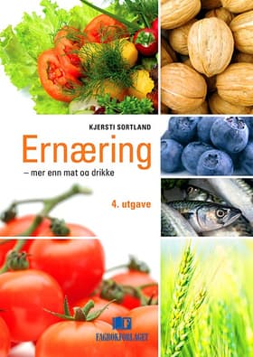 Ernæring - mere end mad og drikke af Ragnhild Gjerstad