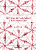 Spesialpedagogikk i barnehagen : barnet i fokus