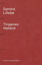 Tingenes tilstand : roman