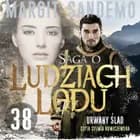 Saga o Ludziach Lodu 38: Urwany ślad