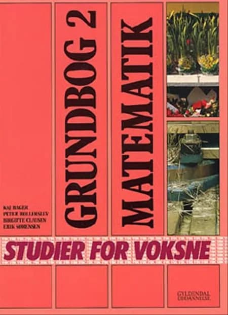 Grundbog - matematik af Peter Bollerslev