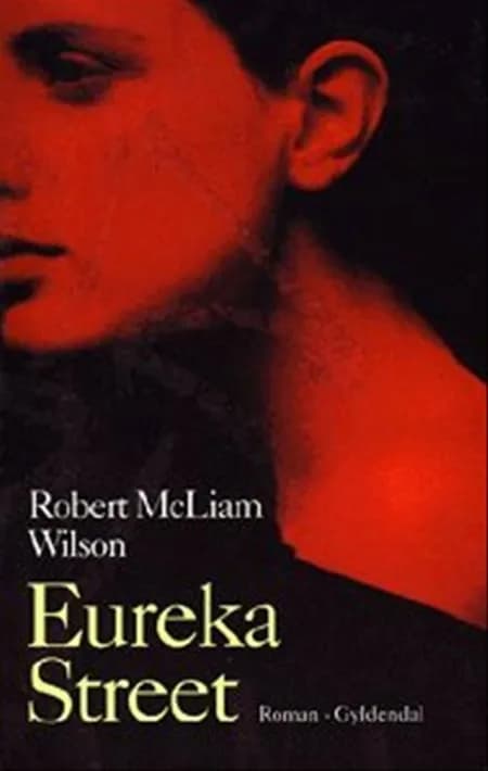 Eureka Street af Robert McLiam Wilson