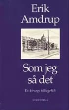 Som jeg så det