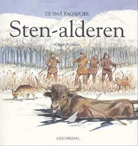 Stenalderen af Inger Byrjalsen