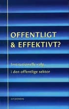 Offentligt og effektivt? af Jens Blom-Hansen
