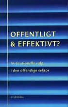 Offentligt og effektivt?