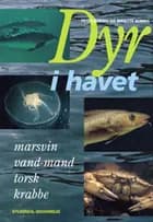 Dyr i havet