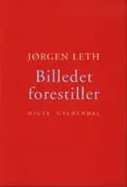 Billedet forestiller