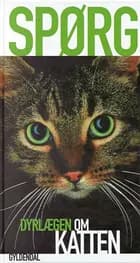 Spørg dyrlægen om katten