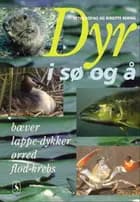 Dyr i sø og å