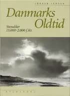 Danmarks oldtid bd. 1