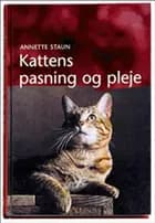 Kattens pasning og pleje