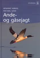 Ande- og gåsejagt af Henning Kørvel og Michael Sand