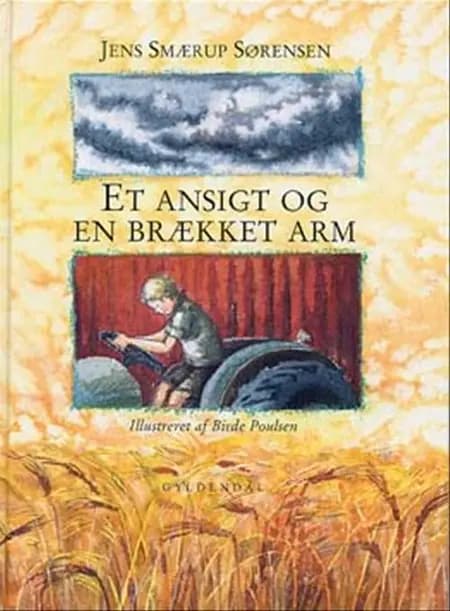 Et ansigt og en brækket arm af Jens Smærup Sørensen