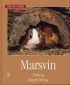 Marsvin af Peter Bering