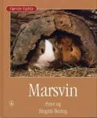 Marsvin